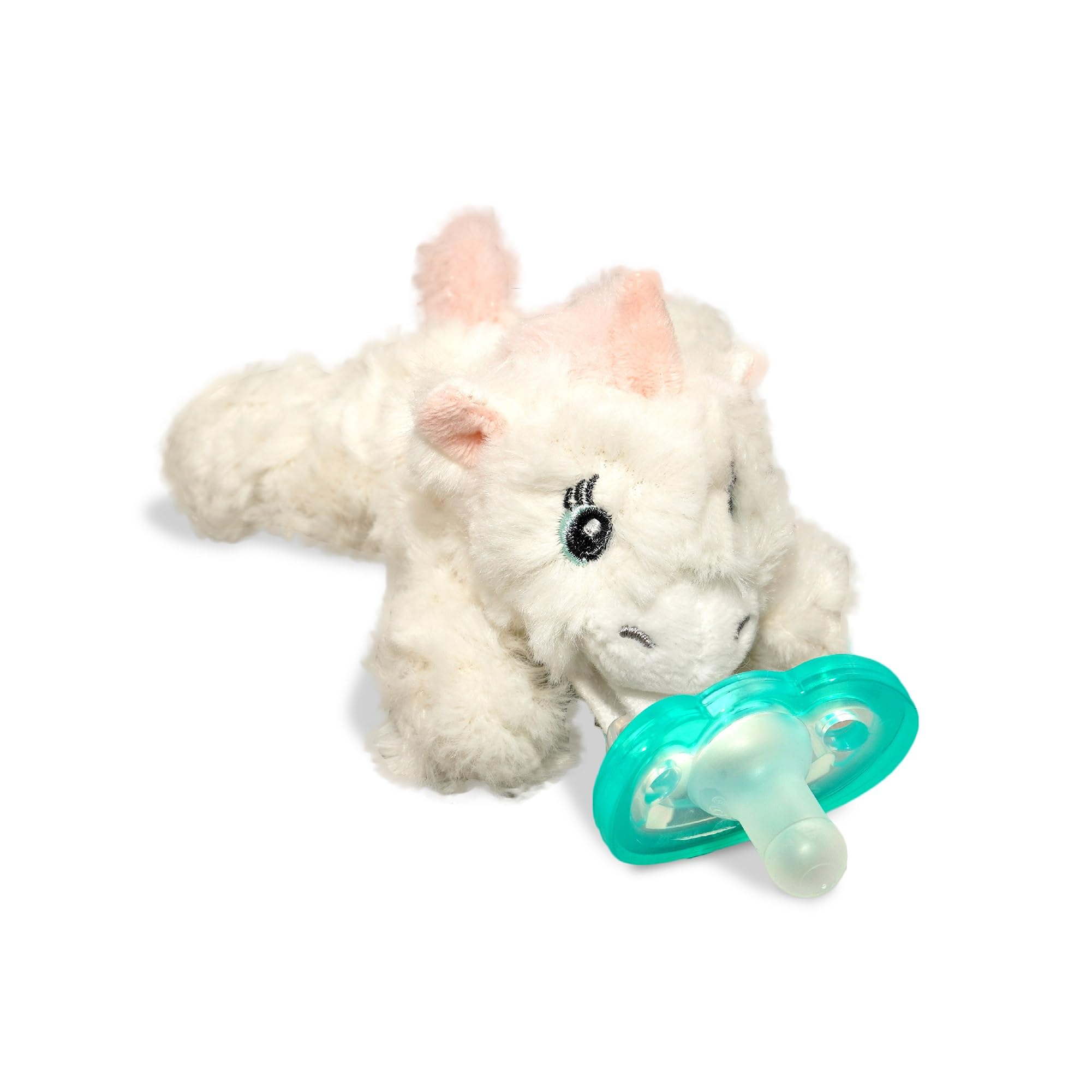 Amazon.com : RaZbaby JollyPop Pacifier, Holder w/Detachable Baby
